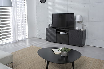 Modern Minimalist Living Room Interior With Black TV Console