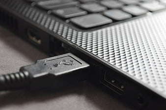 Close-up of USB cable plugged into laptop port