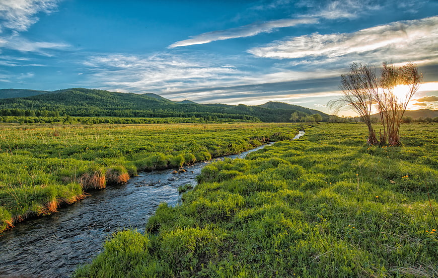 Serene Stream Winding Through Green Meadow at Sunset