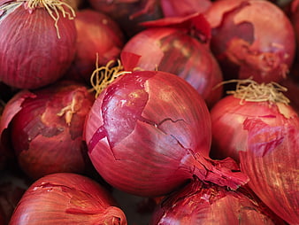 Close-up of fresh red onions with papery skin