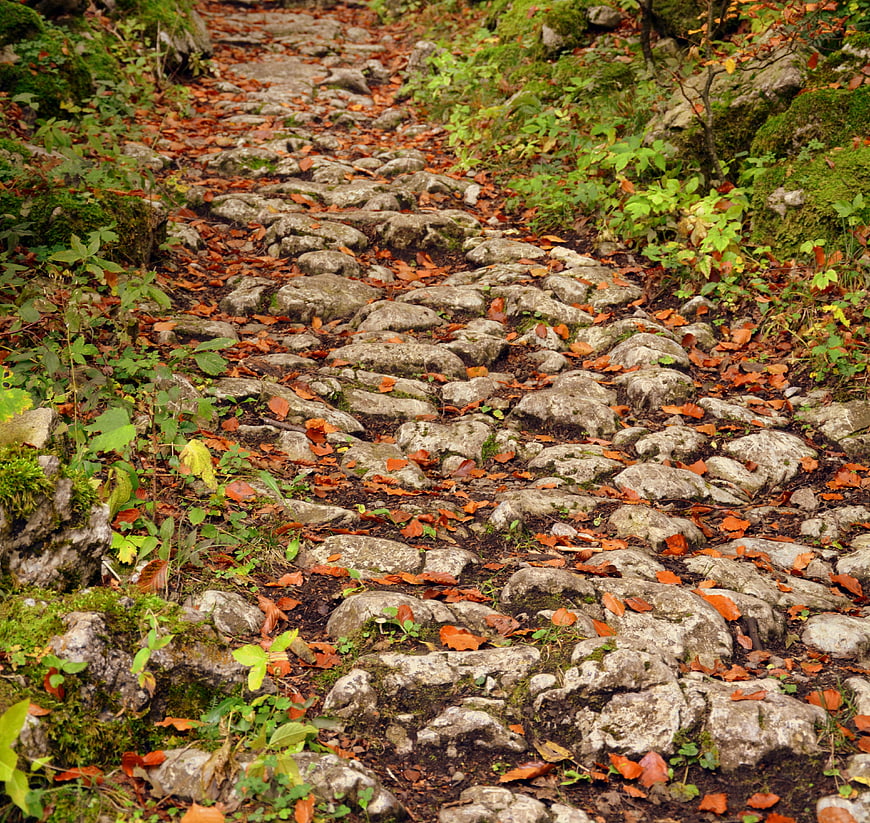 Autumn stone trail in Italian forest with fallen leaves