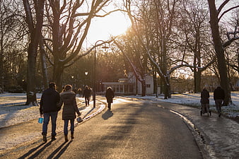 People Walking in Snowy Park at Golden Hour
