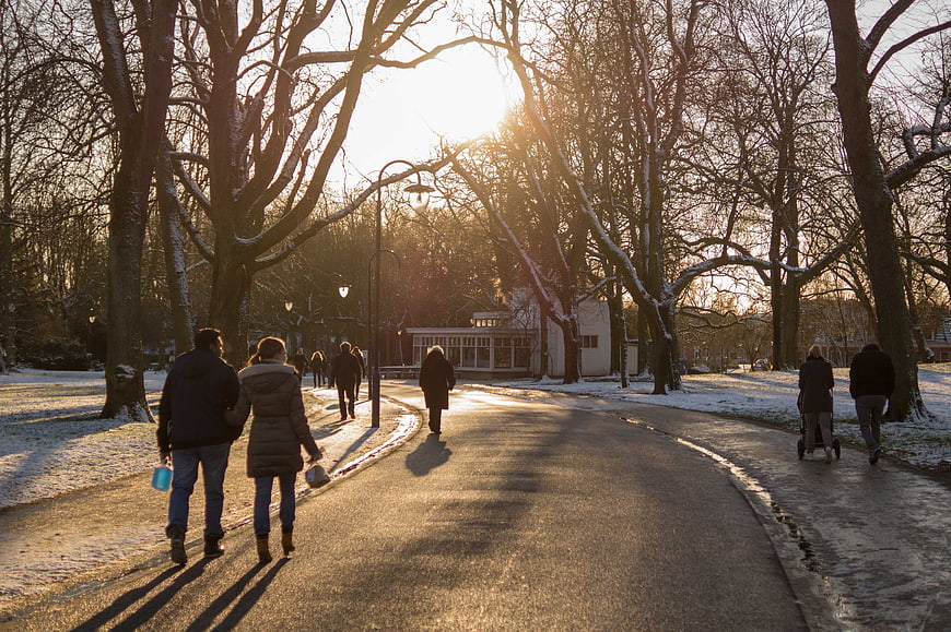 People Walking in Snowy Park at Golden Hour