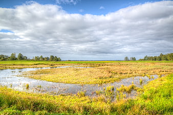 Scenic wetland meadow with winding stream and blue sky