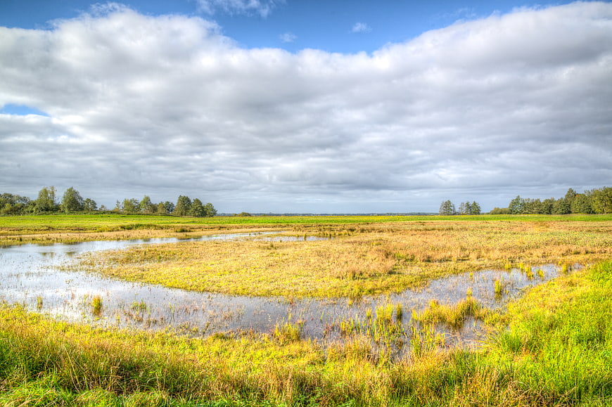 Scenic wetland meadow with winding stream and blue sky