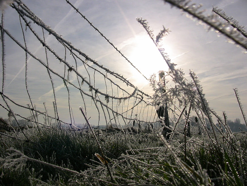 Frosty Barbed Wire Fence in Winter Morning Sunlight