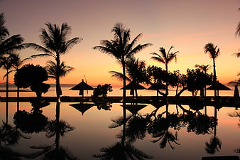 Silhouetted Palm Trees and Pool at Tropical Sunset