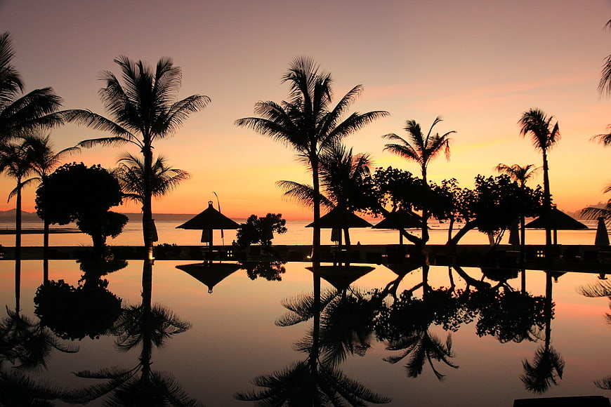 Silhouetted Palm Trees and Pool at Tropical Sunset