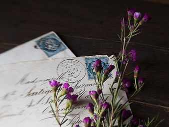 Vintage French Letter with Purple Flowers on Dark Wood