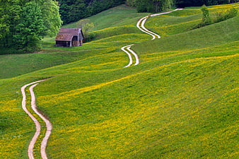 Winding dirt path through green meadow with small wooden hut