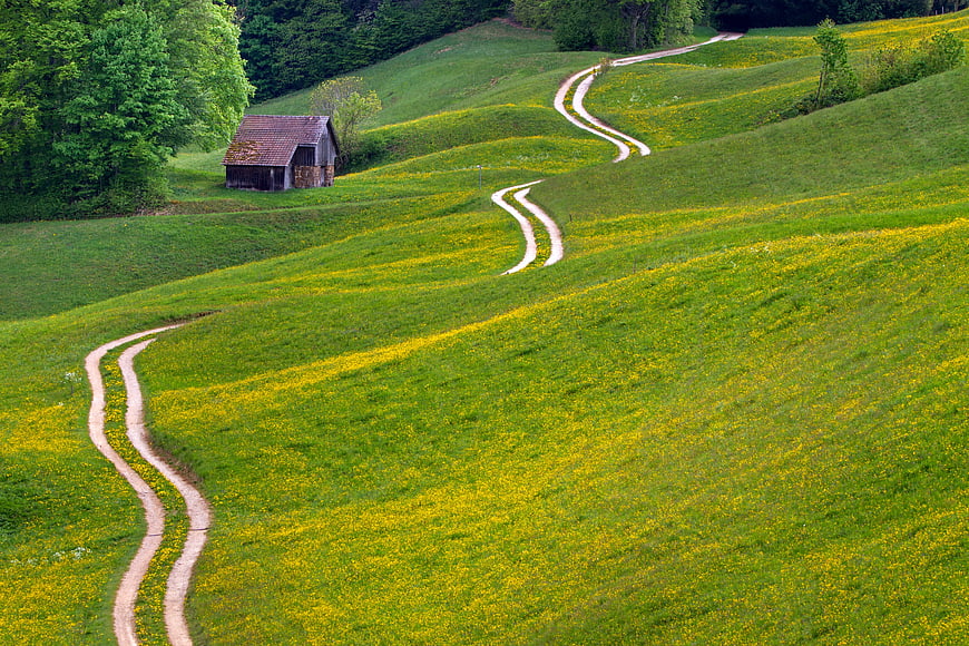 Winding dirt path through green meadow with small wooden hut