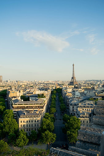 Paris Cityscape with Eiffel Tower and Avenue