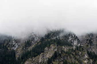 Misty Mountain Ridge with Pine Forest and Fog