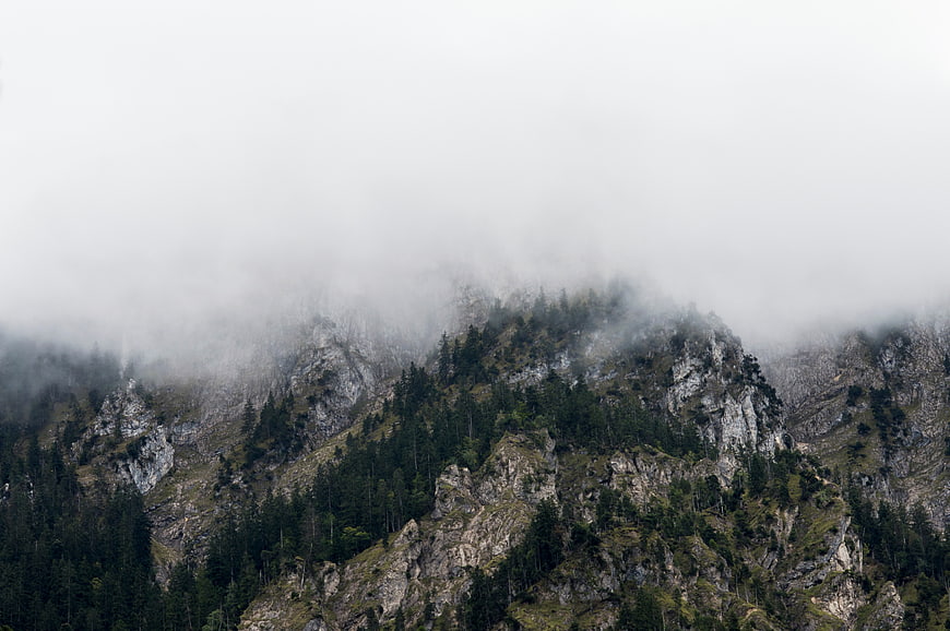 Misty Mountain Ridge with Pine Forest and Fog