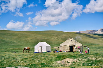 Mongolian Yurts and Horse on Green Steppe Hills