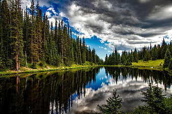 Serene Lake Reflection in Coniferous Forest with Dramatic Clouds