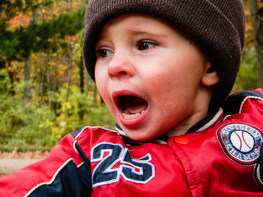 Close-up portrait of crying toddler boy in autumn