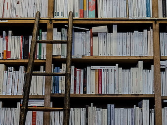 Wooden Ladder Leaning Against Bookshelf in Library