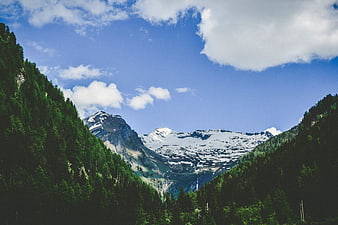 Majestic Snow-Capped Mountain Peaks with Forested Slopes
