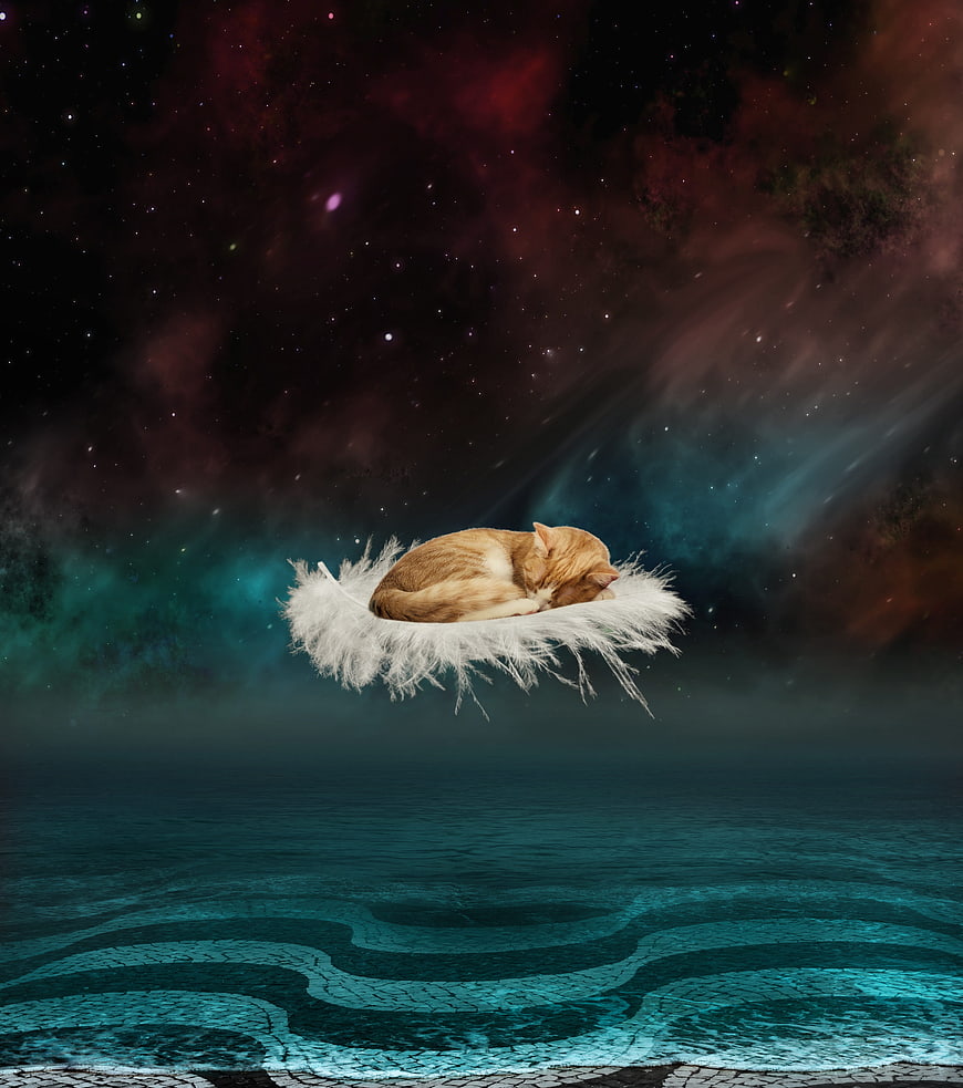 Surreal orange cat sleeping on floating feathers in cosmic night sky