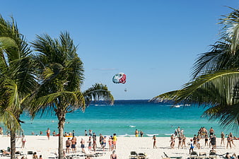 Busy tropical beach with parasailing and palm trees