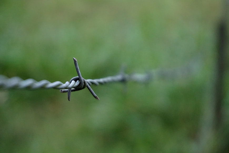 Close-up of barbed wire fence against blurred green background