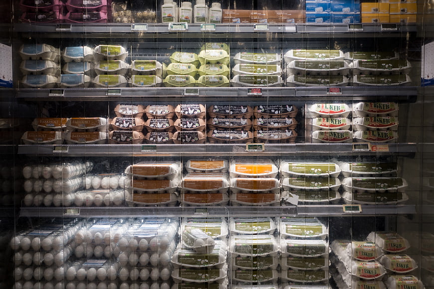 Assorted egg cartons in a refrigerated grocery store display