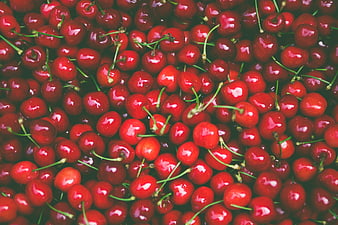 Fresh Red Cherries With Green Stems Close Up