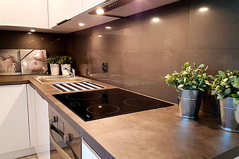Modern Kitchen Interior with Induction Cooktop and Plants