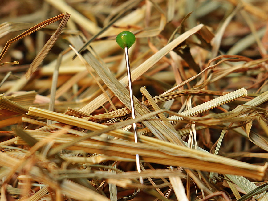 Green pin in a haystack macro shot
