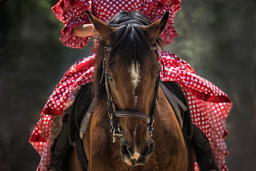 Woman in Red Polka Dot Dress Riding Brown Horse