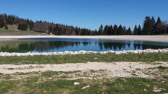 Serene Mountain Lake with Forest Reflections and Rocky Shore