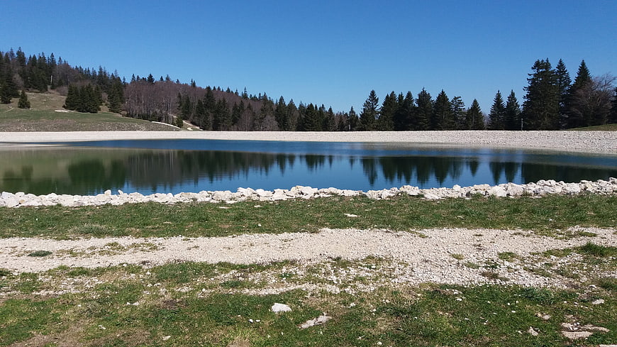 Serene Mountain Lake with Forest Reflections and Rocky Shore