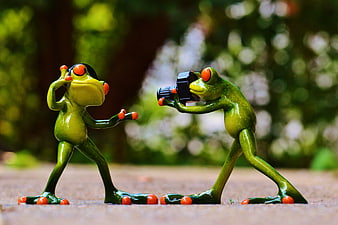 Cute frog figurines photographer and dancer in nature