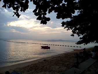 Silhouette of trees framing a calm beach at sunset with boats