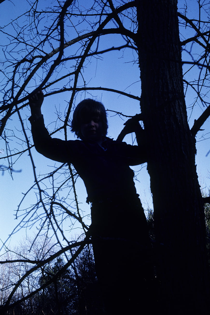 Silhouette of child climbing tree against blue sky