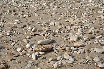Textured Sandy Beach with Scattered Smooth Pebbles and Stones
