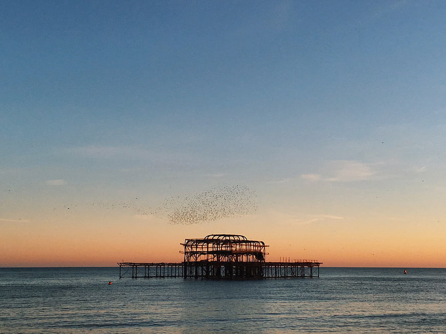 Silhouette of West Pier Ruins at Sunset with Starling Murmuration