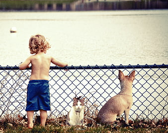 Toddler, Dog, and Cat Looking at Lake Through Fence