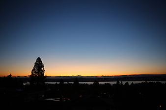 Silhouette of tree against twilight sky over lake and mountains