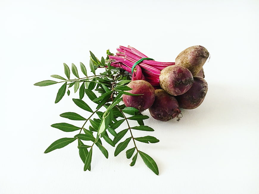 Fresh Beetroot with Green Leaves on White Background