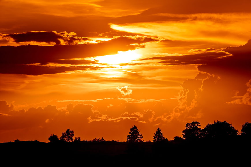 Dramatic Orange Sunset Sky with Silhouetted Trees