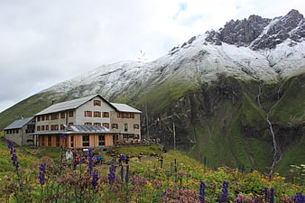 Alpine mountain hut with wildflowers and snow-capped peaks
