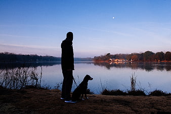 Silhouette of Man and Dog by Lake at Dusk