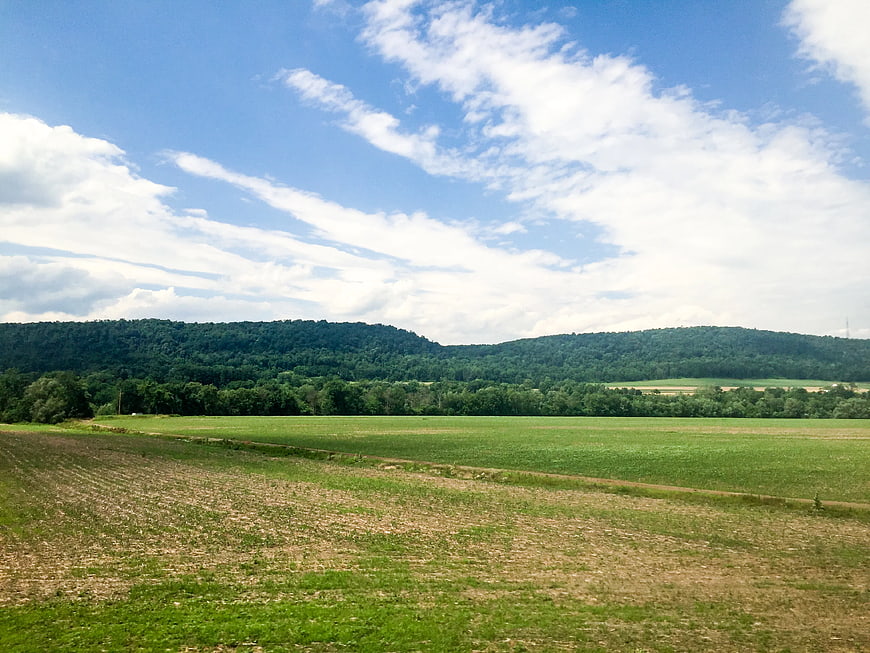 Green agricultural fields with forested hills and blue sky