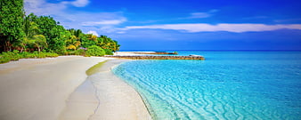Panoramic tropical beach with turquoise water and palm trees