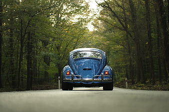 Rear View of Classic Blue Volkswagen Beetle on Forest Road