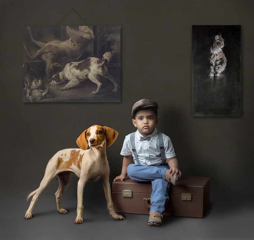 Toddler boy and dog sitting on vintage suitcase in studio