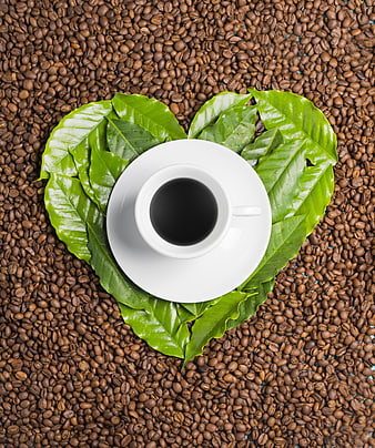 Top view of coffee cup on heart-shaped green leaves and beans
