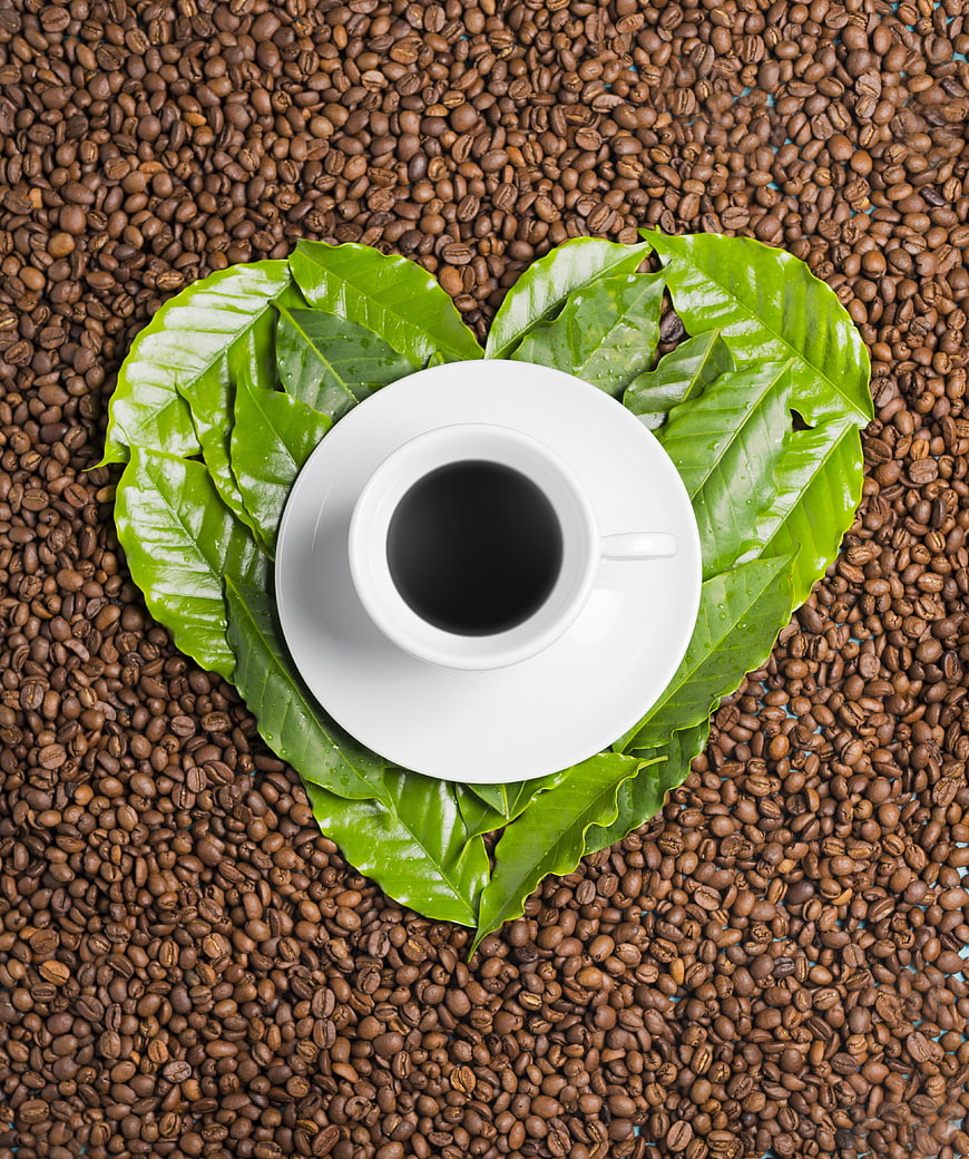 Top view of coffee cup on heart-shaped green leaves and beans